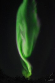 Aurora-Finnland-2017-36-WSK