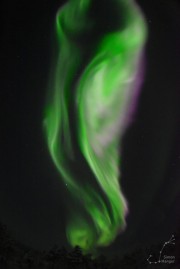 Aurora-Finnland-2017-37-WSK