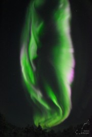 Aurora-Finnland-2017-38-WSK